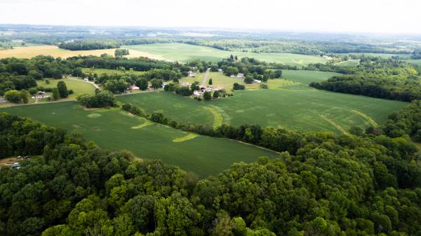 41.5 ACRES NO ZONING 1
