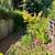 Beautiful 2 Bed, 2.5-Bath near annadel state park trails +Howarth Park 5 thumbnail