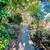 Cutest 2/1 cottage with porch in Sausalito...walk to everything! 3 thumbnail