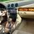 Audi/White/2007/Rare Classic "CN" Model 16 thumbnail