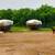 Commercial Meat Goat Herd Sires 5 thumbnail