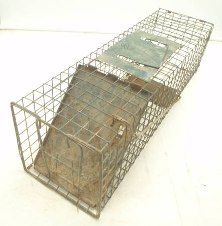Medium Live Animal Trap 1