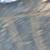 Farm cats and kittens 5 thumbnail