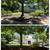 🌸🌷🌻MULCH MADNESS. Lawn/Garden clean ups, Weeding and Mow 4 thumbnail