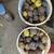Free Black Walnuts 2 thumbnail
