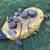 John Deere LT150 Hydrostatic - Parts Tractor 8 thumbnail