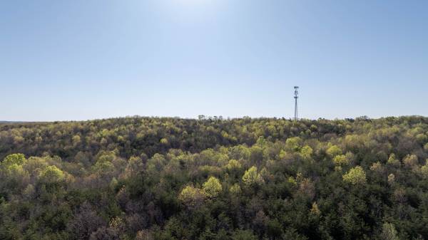 $64,900 10.91 acres in Pittsylvania County, Virginia (Hurt)63689186663169122