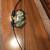 NEW Youth Barnett Lil Sioux Recurve Bow 1 thumbnail