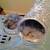 Chimney Sweep and Dryer Vent Cleaning 21 thumbnail