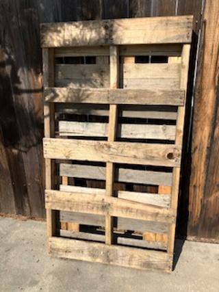 Pallet 1
