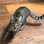 Kittens ,kit cats & cats 4 thumbnail