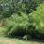 Landscaping, Lawn & Garden Art 🌿 7 thumbnail
