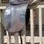 Smith Worthington gorgeous English saddle 1 thumbnail