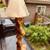 Unique Burled lamp 1 thumbnail