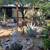 Ranch style casita on private, shaded courtyard 1 thumbnail