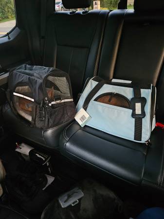 Pet carriers brand new 1