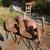 free: 6 cushy dining table chairs 2 thumbnail