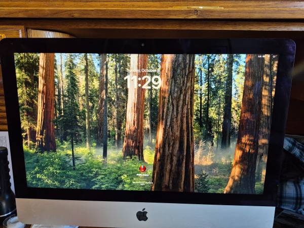 iMac 21.5