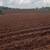 FARM in Costa Rica 9 thumbnail
