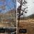 Land Clearing, Tree Services, Wild Fire Prevention, Road Maintenance! 8 thumbnail
