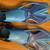Speedo Dive Scuba Diving Flippers Fins Youth Size L/XL US 1-4 w/ Mesh 4 thumbnail