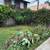 Lawn/Gardening Maintenance Cleanups•Stump removal Weeding Landscaping 6 thumbnail