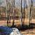 Arkansas  Ozarks 2 thumbnail