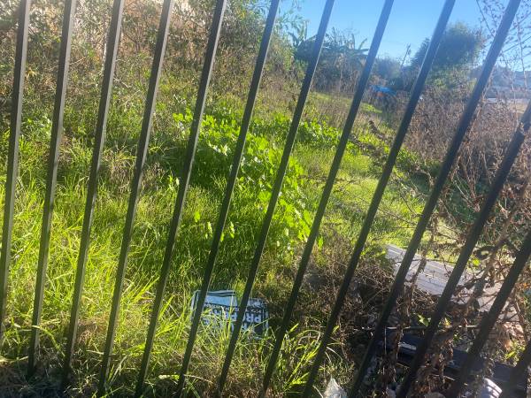 BEST CHOICE LAWN MOWING/GARDENING 1