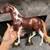 Flawless 2019 chestnut Pinto Breyer horse "Enzo" Mangalarga Marchador 1 thumbnail
