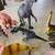 Dinosaur Collection 5 thumbnail