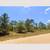 Rare 0.20 Acre Florida Land for $99/Down? Click to Own Now 9 thumbnail