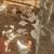Amberlink pullets brown egg layin hen chickens 3 thumbnail