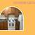 Give Fido a great home! You'll love our Pet-Friendly Apartments! 1 thumbnail