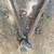 Large Peter Wright Anvil with Stand REDUCED 4 thumbnail