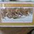 Gary Moss Pheasants & Fox Painting 1 thumbnail