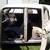 1950 studebaker 5 thumbnail