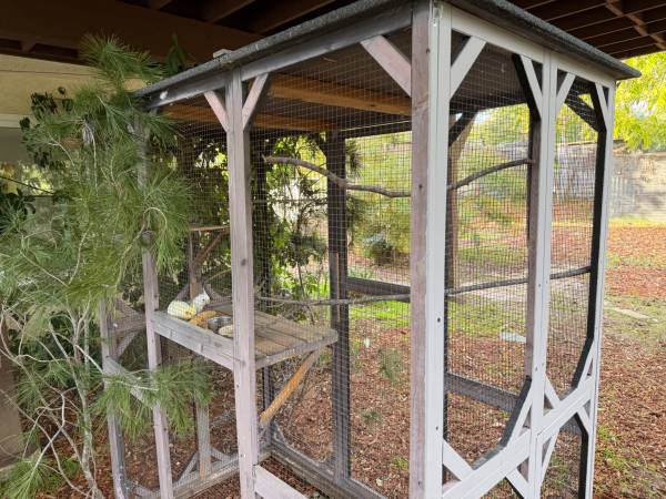 Large light weight Catio/ bird aviary 1