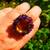 Natural Citrine, Spinel, Amethyst Ring; One of a Kind, custom made 2 thumbnail