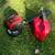 Leaf Blower 3 thumbnail