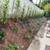 R Landscaping & Tree Service, Gardening Service 14 thumbnail