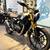 2024 Triumph Scrambler 400 X 22 thumbnail