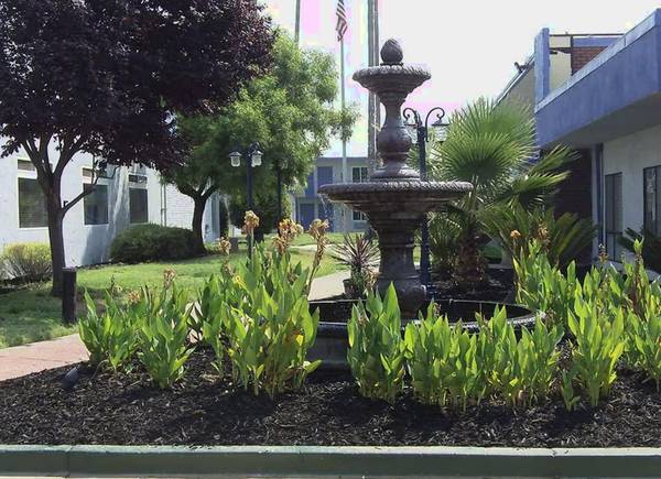 $550 / 1br - One Bedroom // NEW SPECIALS - CALL! // Free Parking, 24 hours (Sacramento)63844738806019121