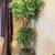 Large Artificial Tree in Decorative Pot – Excellent Condition 1 thumbnail