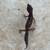 Leopard Gecko 2 thumbnail