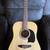 Washburn Lyon LG2PAK Acoustic Guitar with Case 1 thumbnail