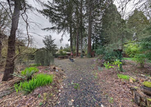 $650 / 5br - 130ft2 - Lookout House - Room available November 1st (Corvallis, OR)63945100786178121