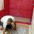 Tile - Laminate - painting 19 thumbnail