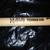 DEF LEPPARD RickAllen Signature Drumstick 1999 Tour Drum Stick 3 thumbnail