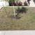 ANDRES LANDSCAPING & TREE SERVICE  :(512)676-1826 & CALL OR TX 17 thumbnail