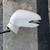 2009-2012 Lexus Is250/350 side view mirror (driver's side) oem. 1 thumbnail